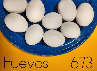 El Contador De Huevos