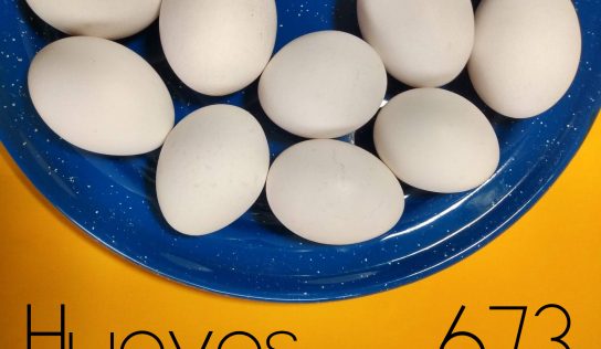 El Contador De Huevos