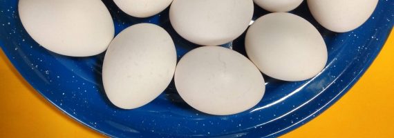 El Contador De Huevos